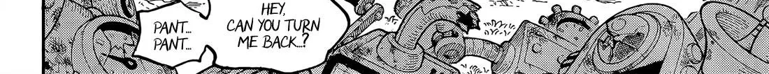 One Piece Zinmanga X Chapter 1064 Page 18