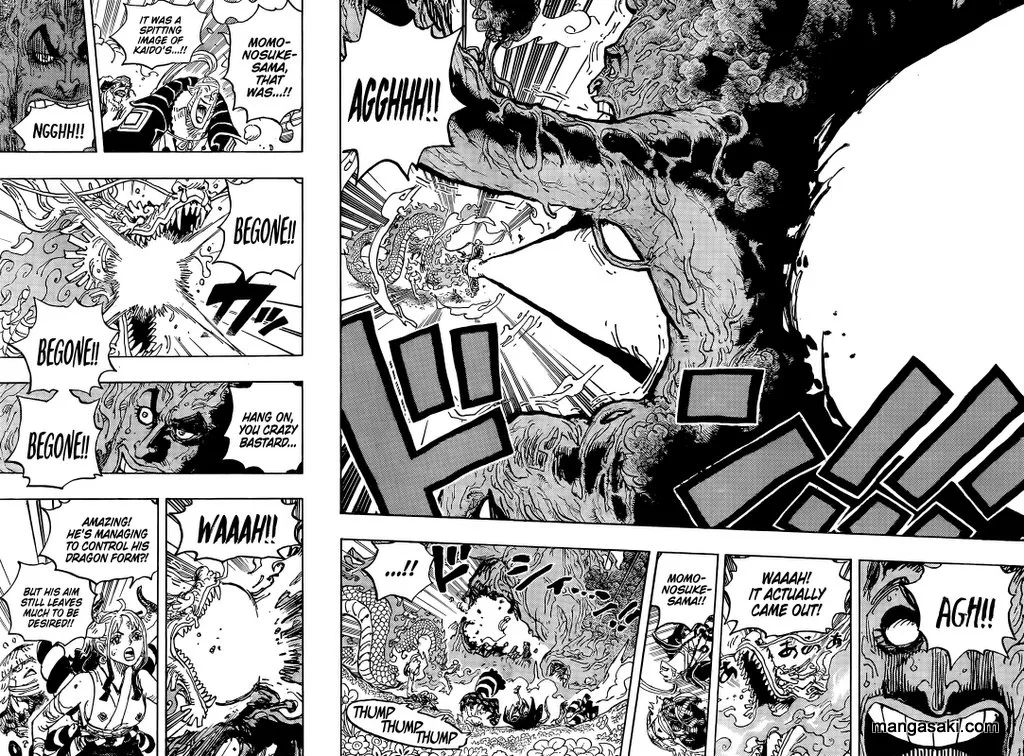 One Piece Zinmanga X Chapter 1055 Page 15