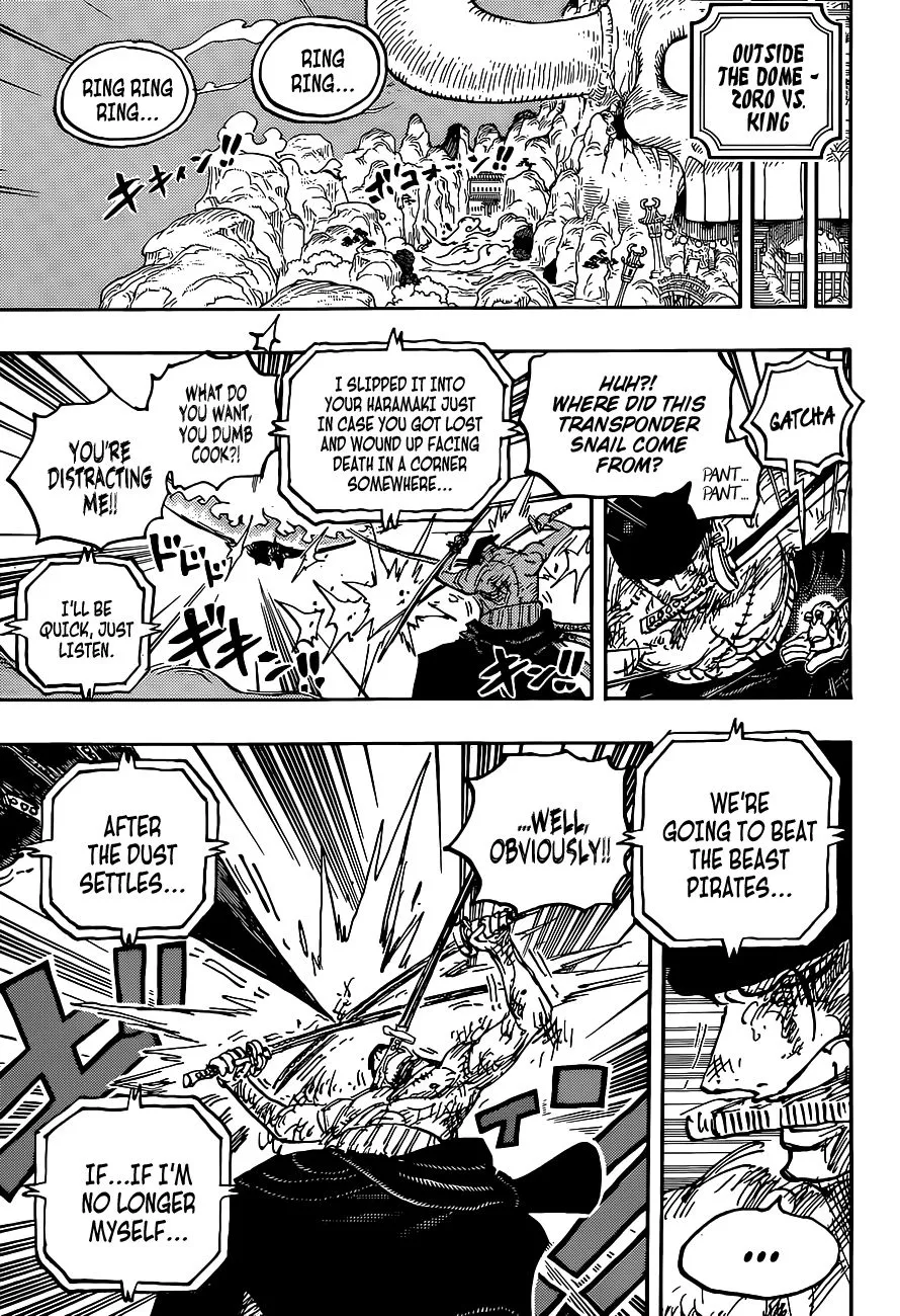 One Piece Zinmanga X Chapter 1031 Page 17