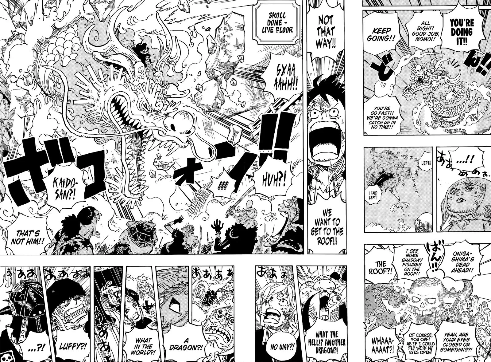 One Piece Zinmanga X Chapter 1025 Page 9