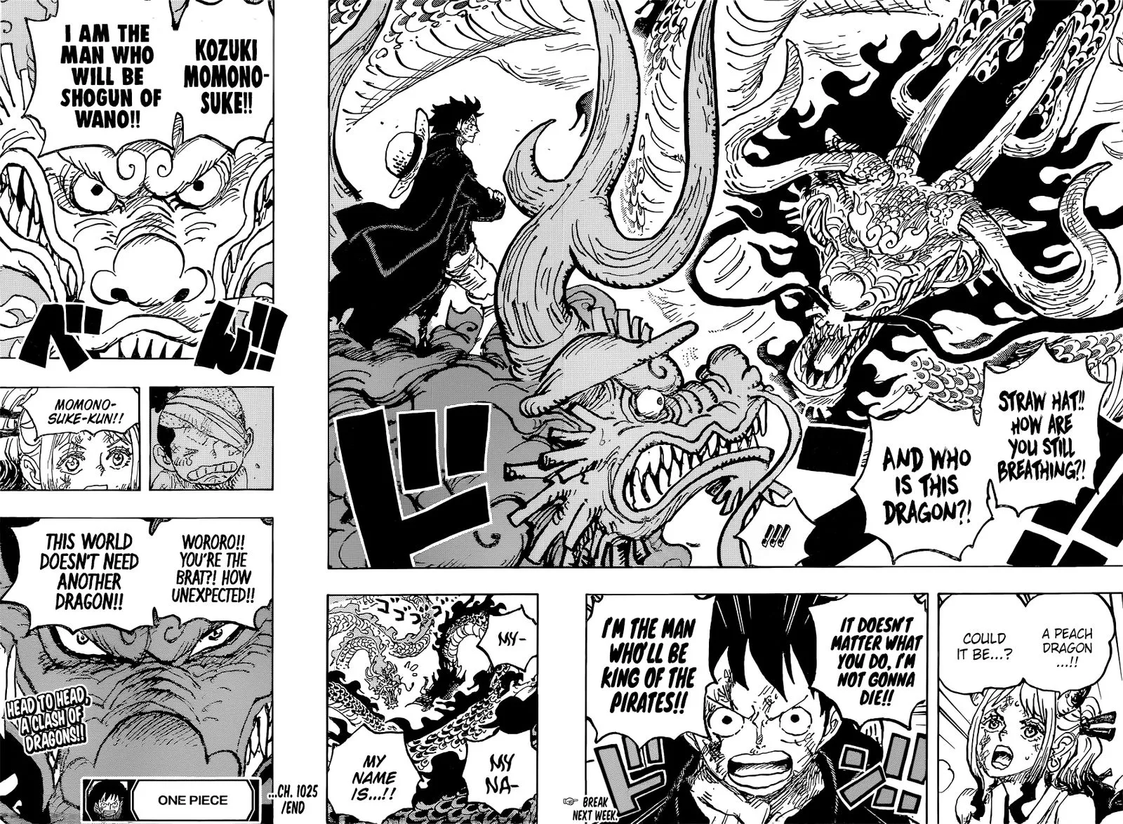 One Piece Zinmanga X Chapter 1025 Page 15