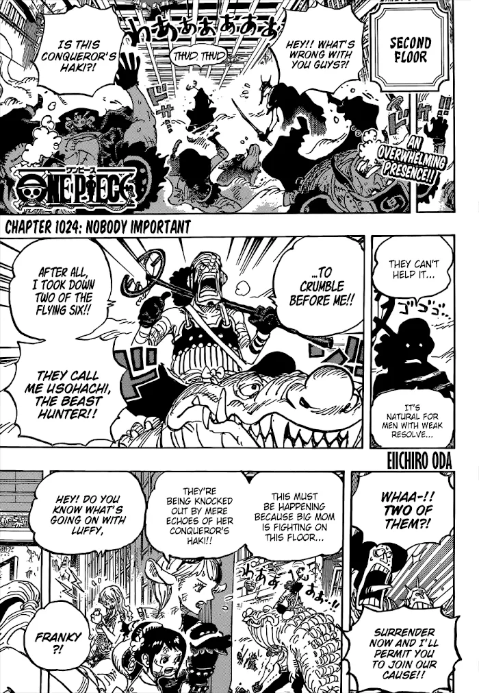 One Piece Zinmanga X Chapter 1024 Page 4