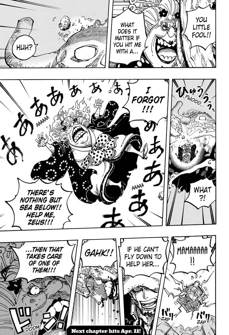 One Piece Zinmanga X Chapter 1009 Page 17
