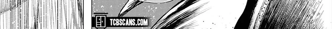 One Piece Zinmanga X Chapter 1003.5 Page 93