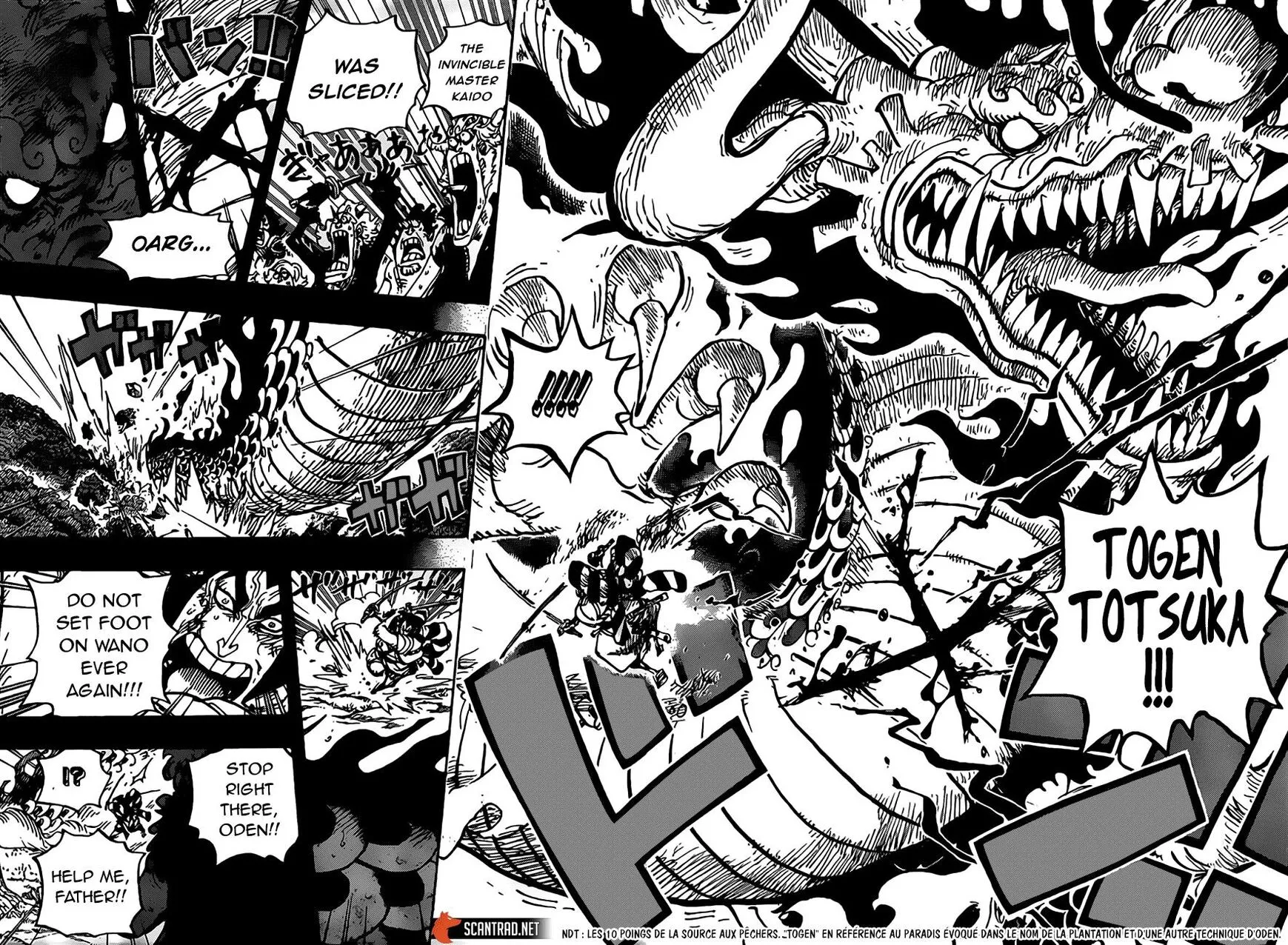 One Piece Zinmanga X Chapter 970 Page 12