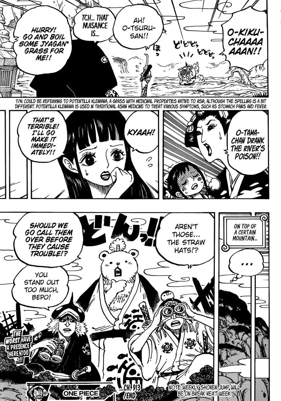 One Piece Zinmanga X Chapter 913 Page 15