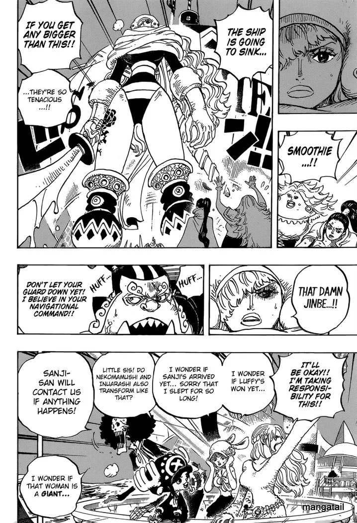 One Piece Zinmanga X Chapter 894 Page 13