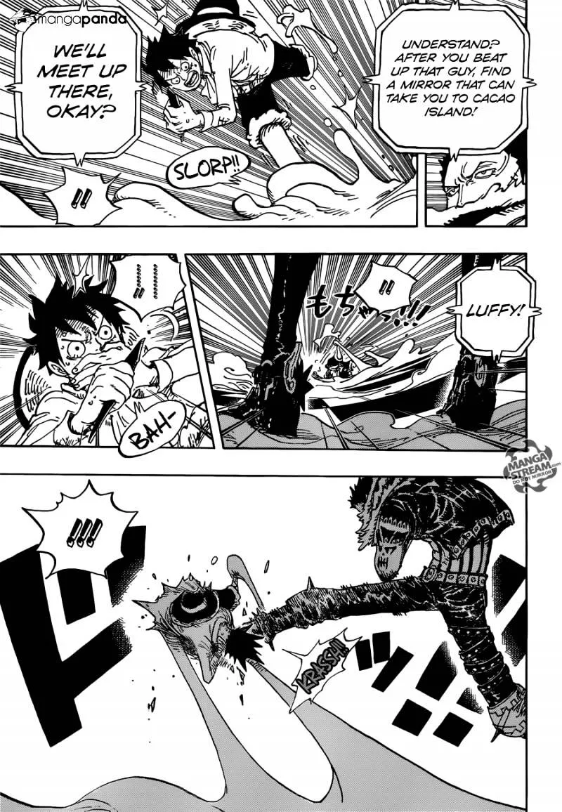 One Piece Zinmanga X Chapter 881 Page 15