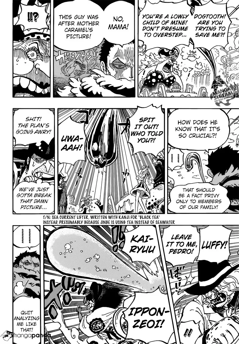 One Piece Zinmanga X Chapter 863 Page 15