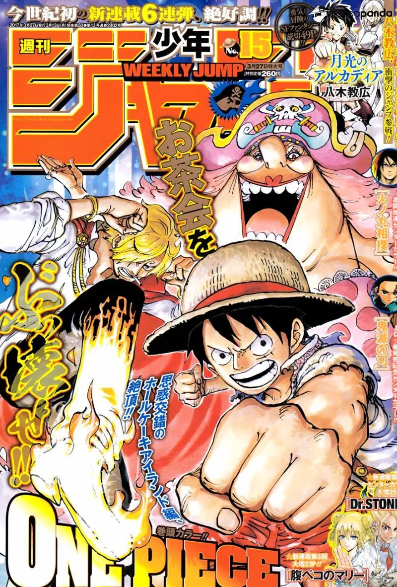 One Piece Zinmanga X Chapter 858 Page 1