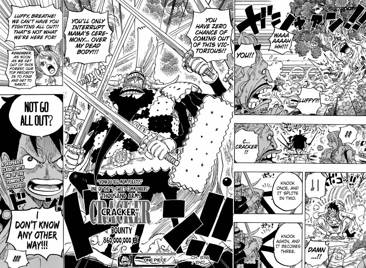 One Piece Zinmanga X Chapter 836 Page 14
