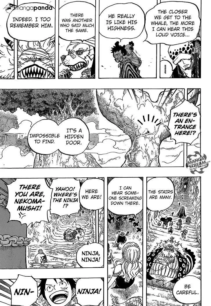 One Piece Zinmanga X Chapter 817 Page 13