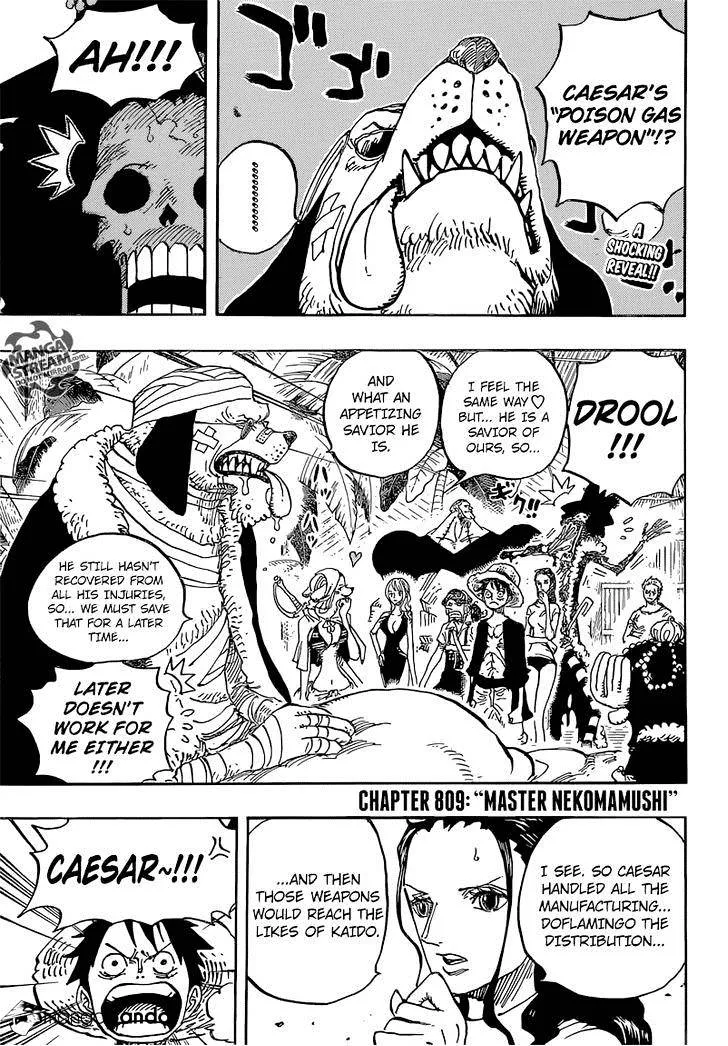 One Piece Zinmanga X Chapter 809 Page 5