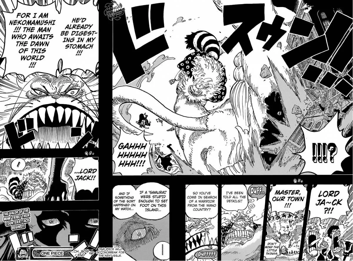 One Piece Zinmanga X Chapter 809 Page 18