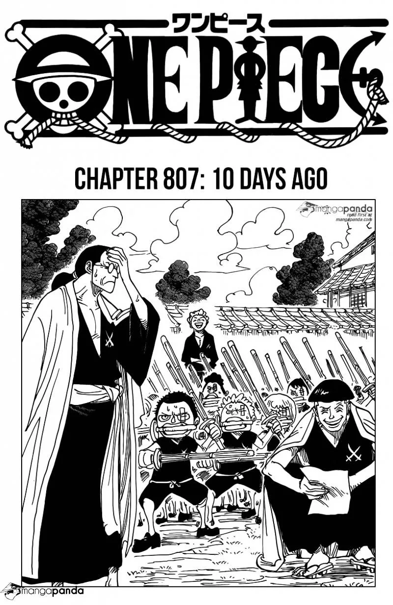 One Piece Zinmanga X Chapter 807 Page 1