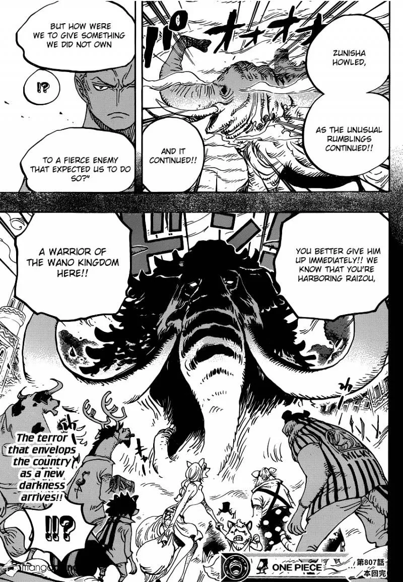 One Piece Zinmanga X Chapter 807 Page 16