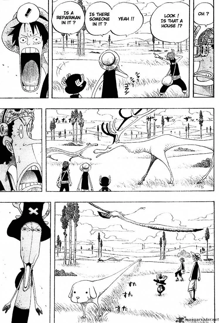 One Piece Zinmanga X Chapter 304 Page 13