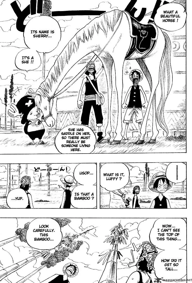 One Piece Zinmanga X Chapter 304 Page 15