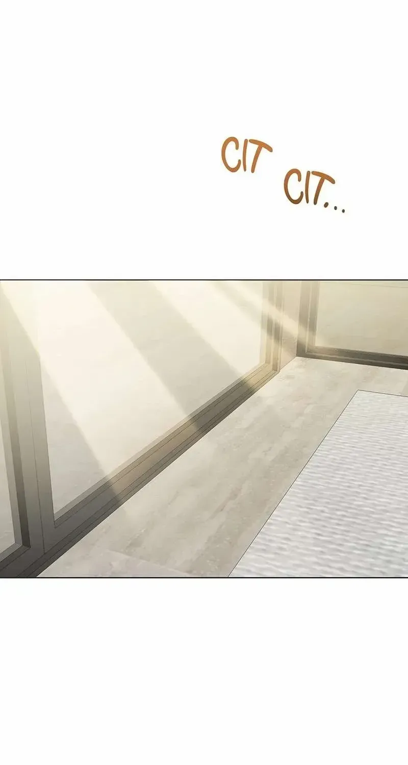 Imperfect Cinderella Story Zinmanga X Chapter 21 Page 40