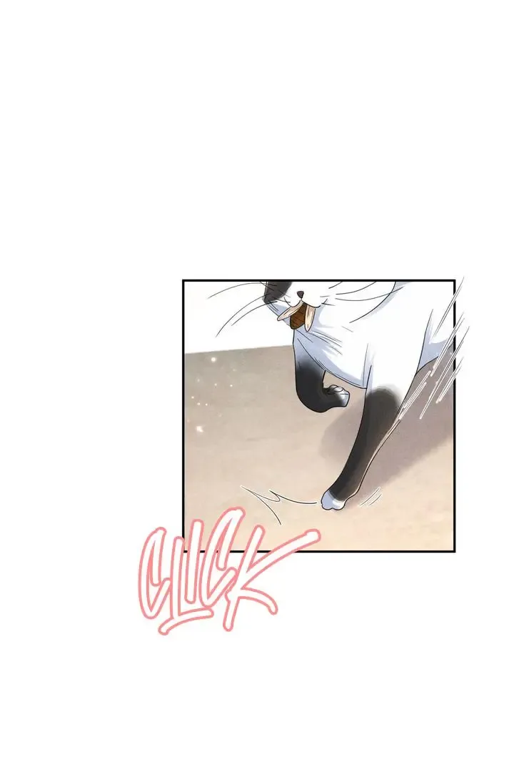 Link Click Zinmanga X Chapter 20 Page 60