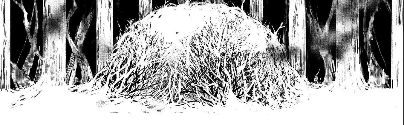 Boukensha Ni Naritai To Miyako Ni Deteitta Musume Ga S Rank Ni Natteta Zinmanga X Chapter 32.1 Page 32