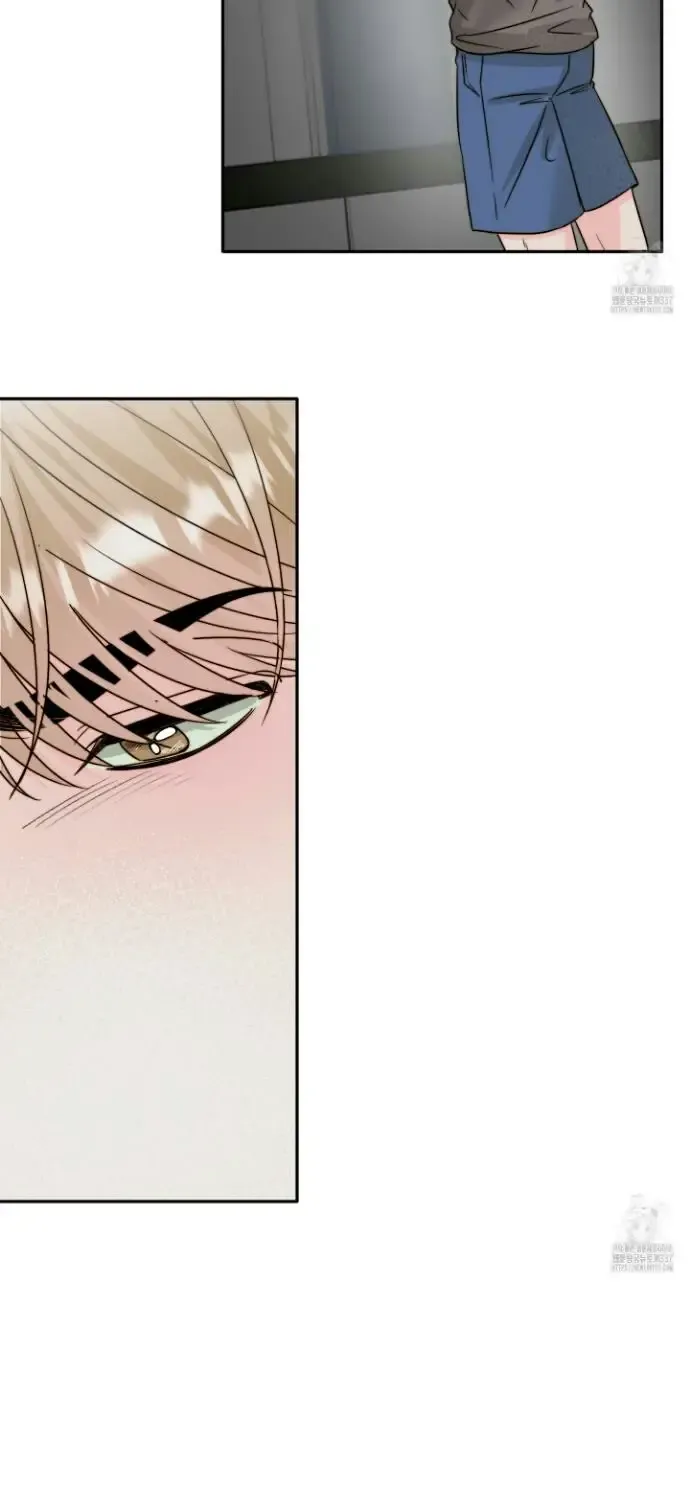 Love Rides on Pheromone Allergy Zinmanga X Chapter 25 Page 61