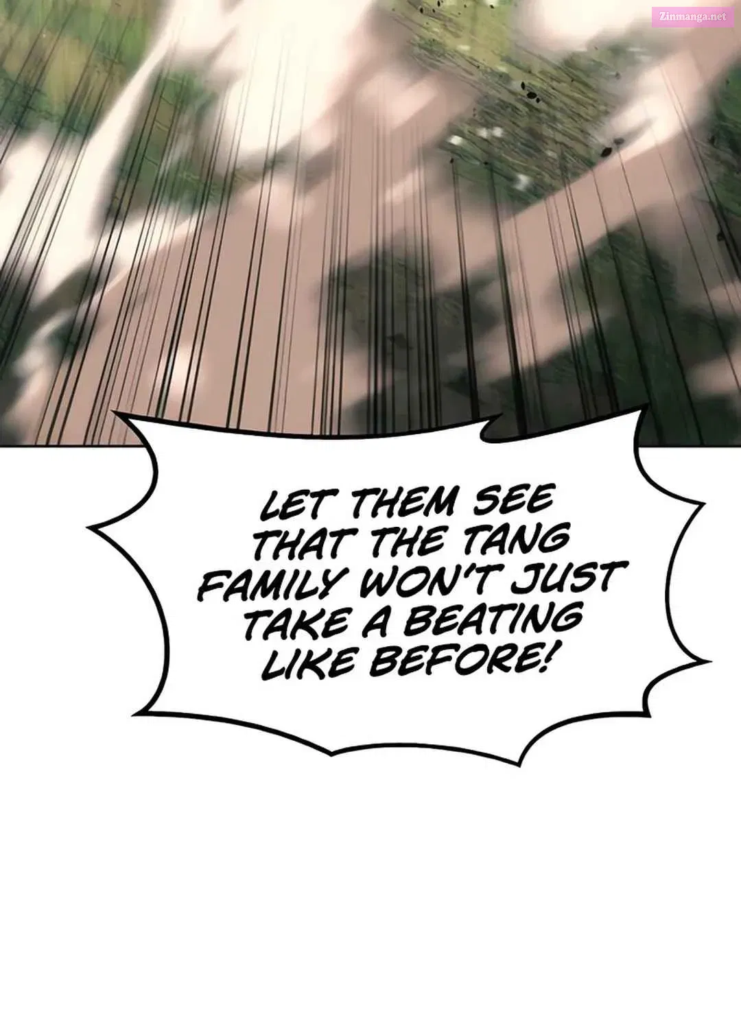 The Dang Clan's Swordmaster Heir Just Wants a Normal Life Zinmanga X Chapter 44 Page 89