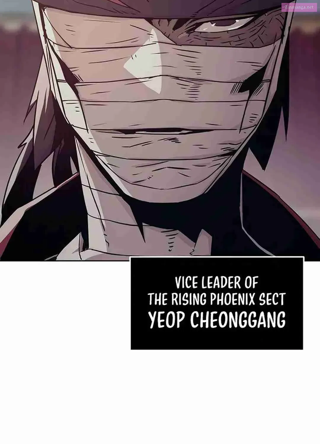 The Dang Clan's Swordmaster Heir Just Wants a Normal Life Zinmanga X Chapter 37 Page 45