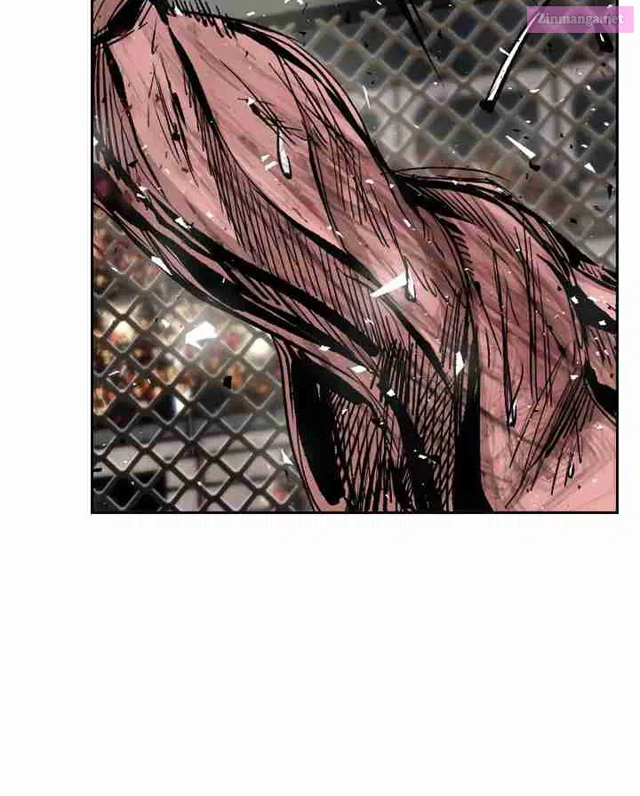 Shark Zinmanga X Chapter 164 Page 21
