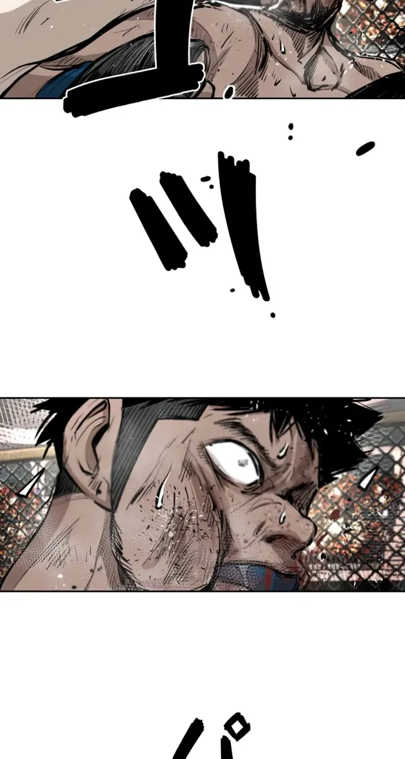 Shark Zinmanga X Chapter 161 Page 61