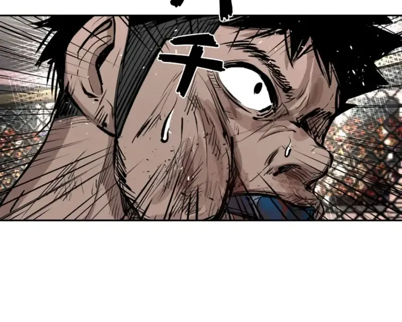 Shark Zinmanga X Chapter 161 Page 62