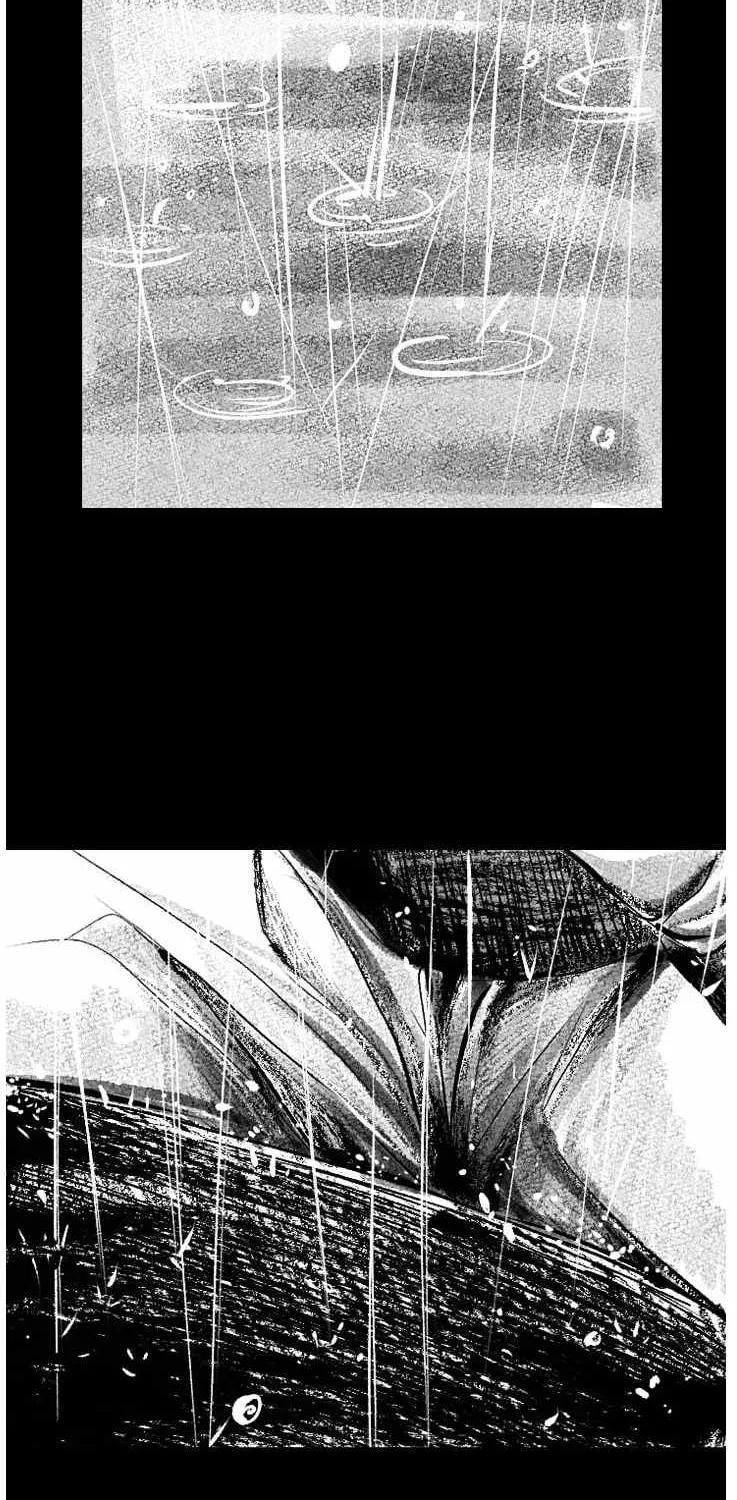 Shark Zinmanga X Chapter 151 Page 11