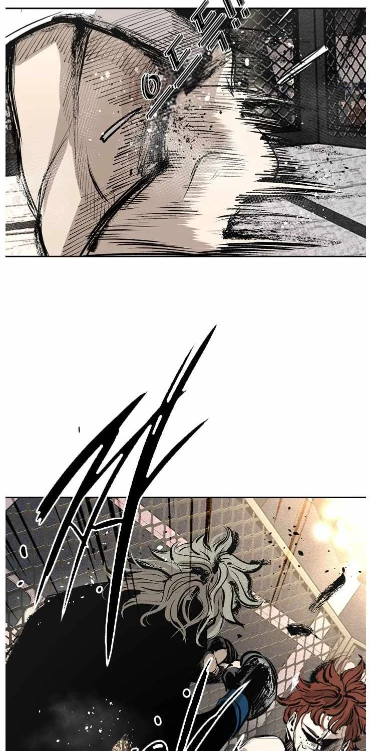Shark Zinmanga X Chapter 151 Page 53
