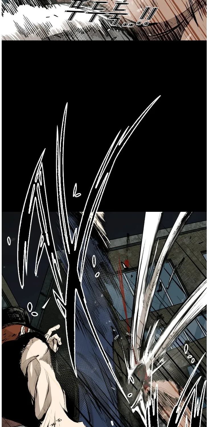 Shark Zinmanga X Chapter 139 Page 39