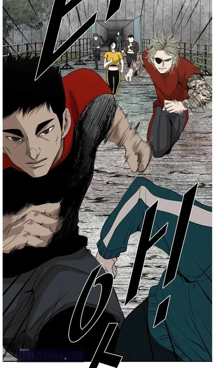 Shark Zinmanga X Chapter 126 Page 37