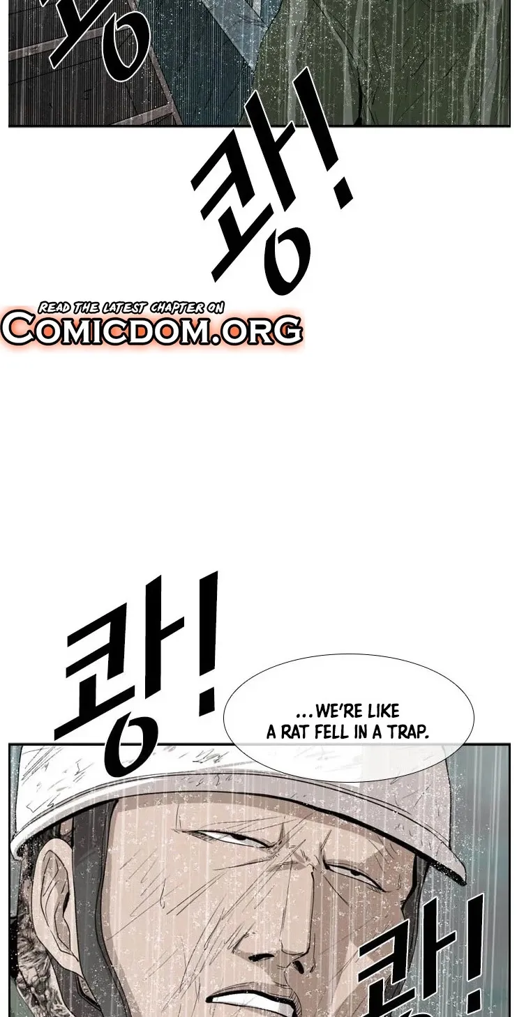 Shark Zinmanga X Chapter 107 Page 73