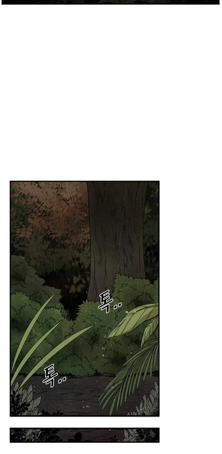 Shark Zinmanga X Chapter 104 Page 12