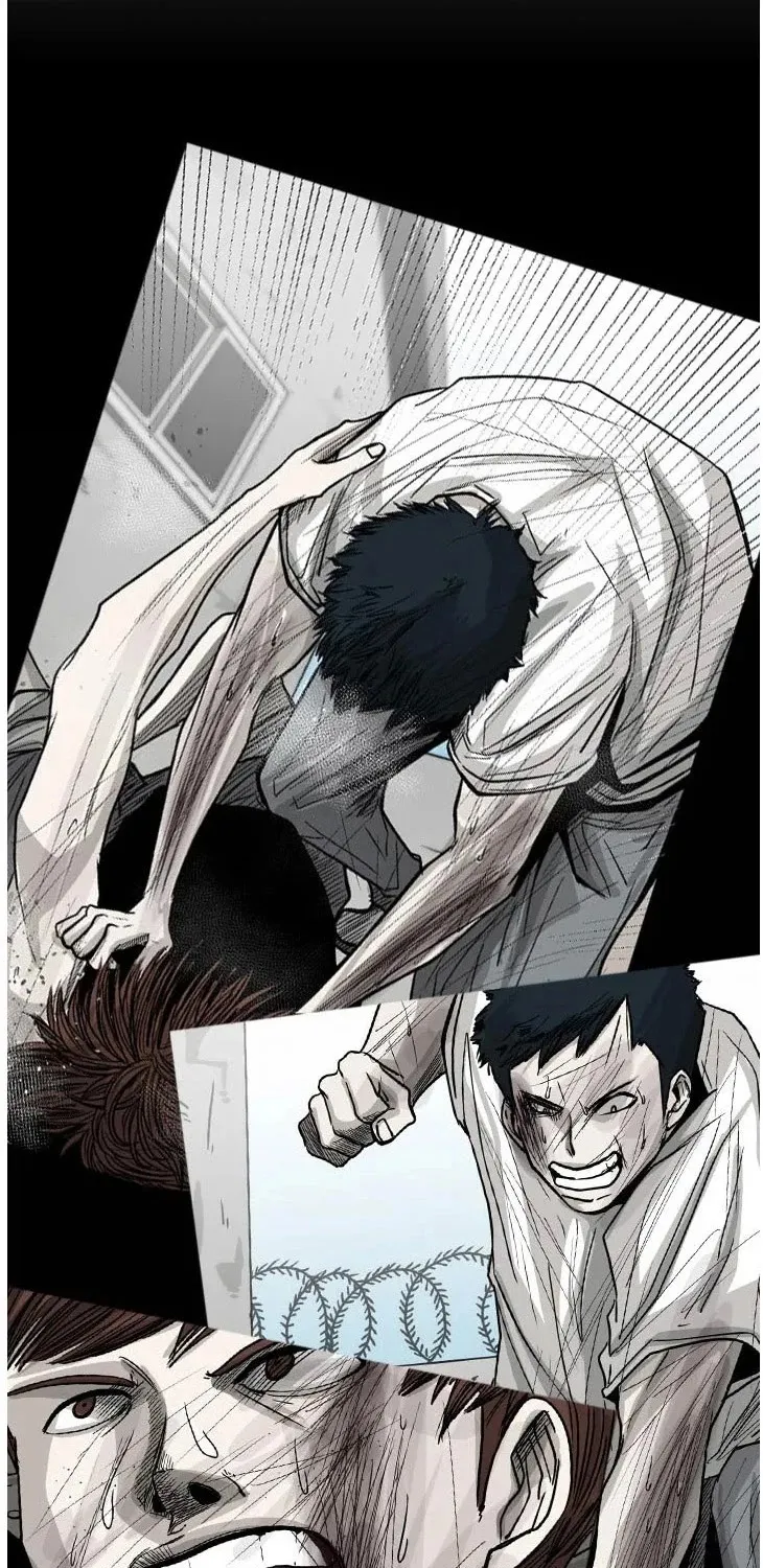 Shark Zinmanga X Chapter 102 Page 20