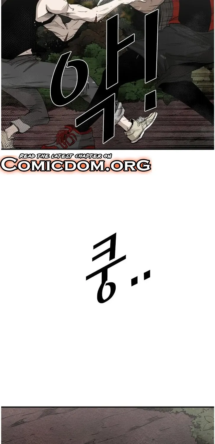 Shark Zinmanga X Chapter 101 Page 50