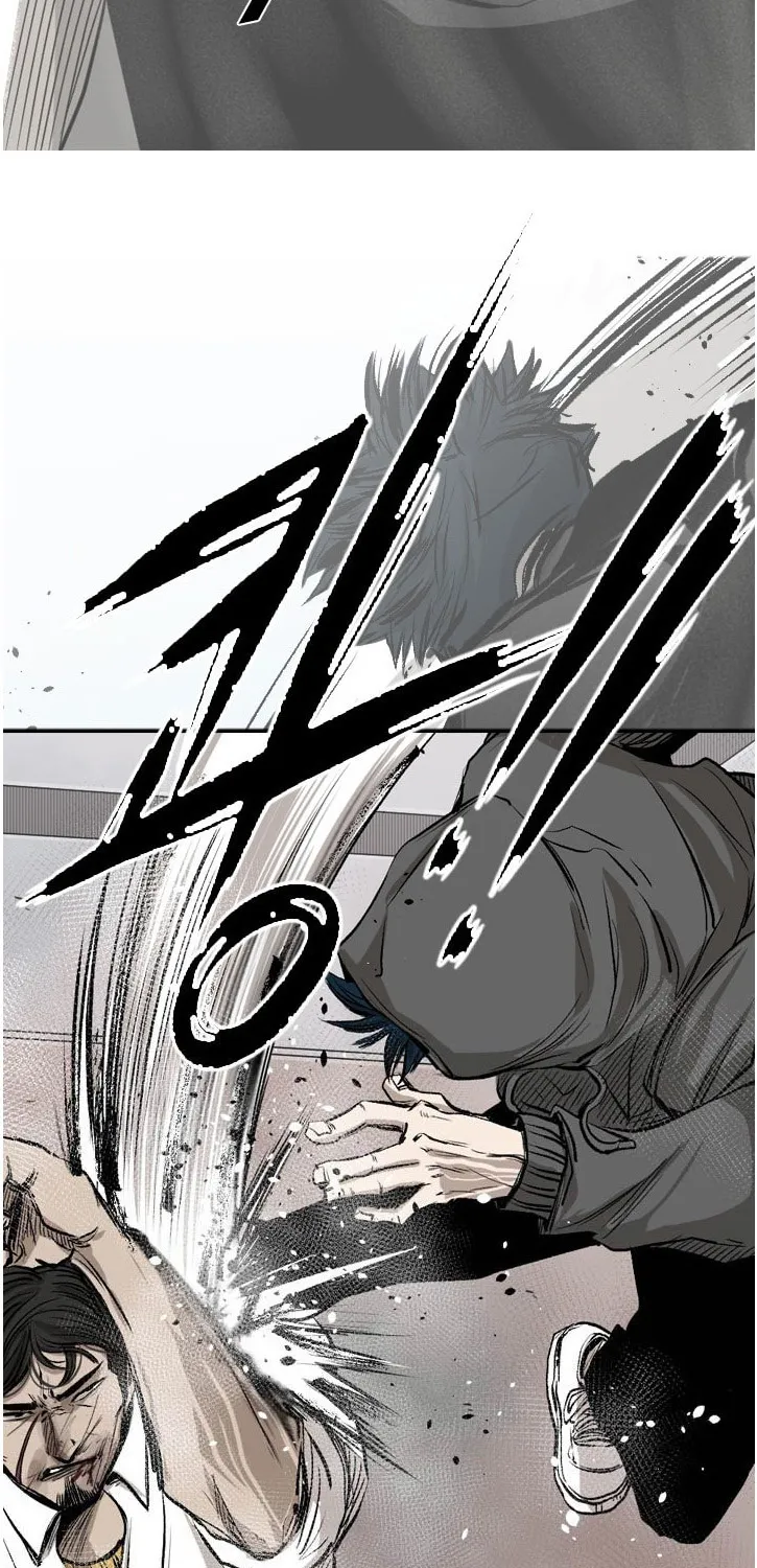 Shark Zinmanga X Chapter 91 Page 44