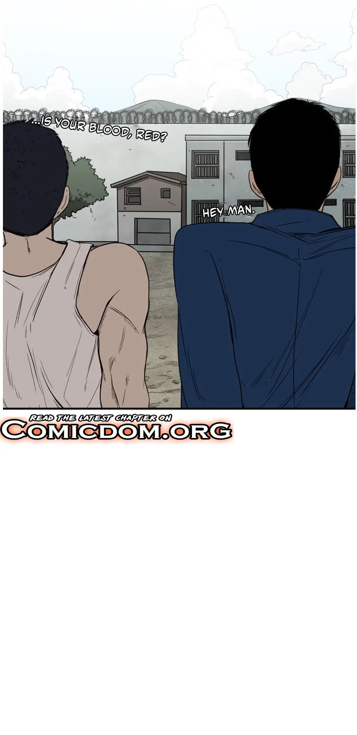 Shark Zinmanga X Chapter 80 Page 41