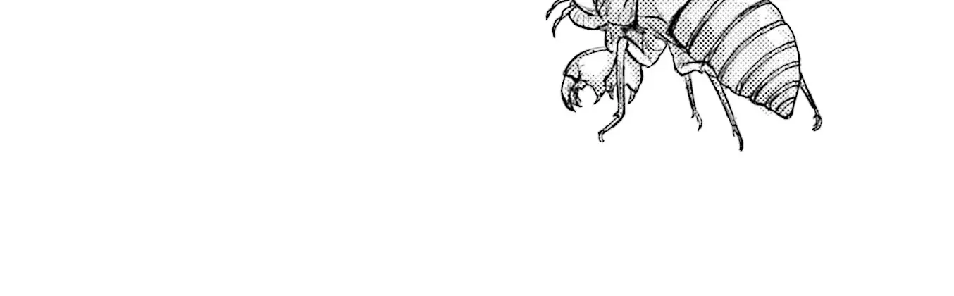 Bocchi The Rock Zinmanga X Chapter 45 Page 25