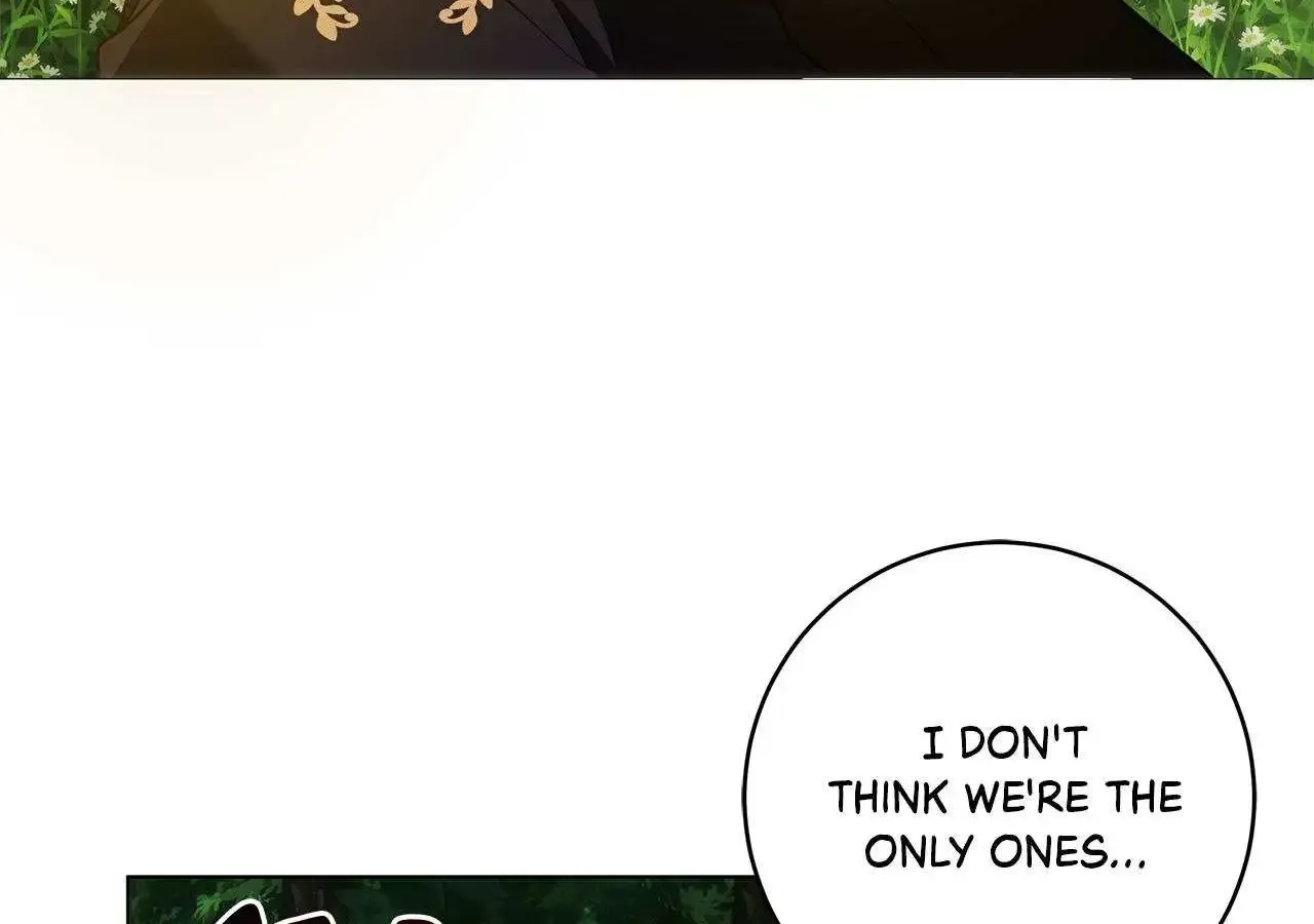 The Obsessive Emperor’s Capable Pharmacist Zinmanga X Chapter 31 Page 5