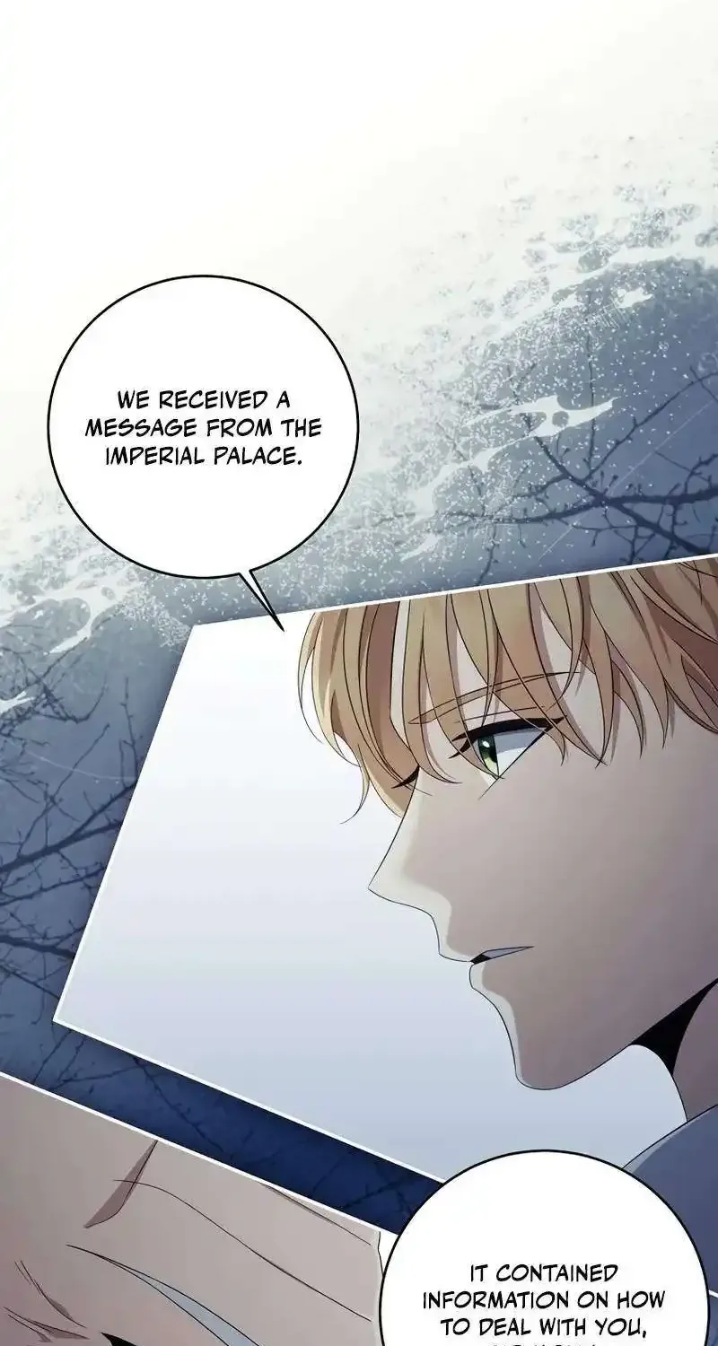 Margrave’s Bastard Son was The Emperor Zinmanga X Chapter 61 Page 5