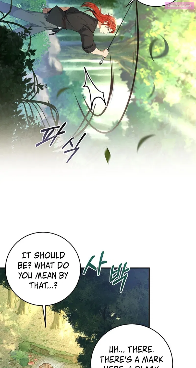 Margrave’s Bastard Son was The Emperor Zinmanga X Chapter 26 Page 71