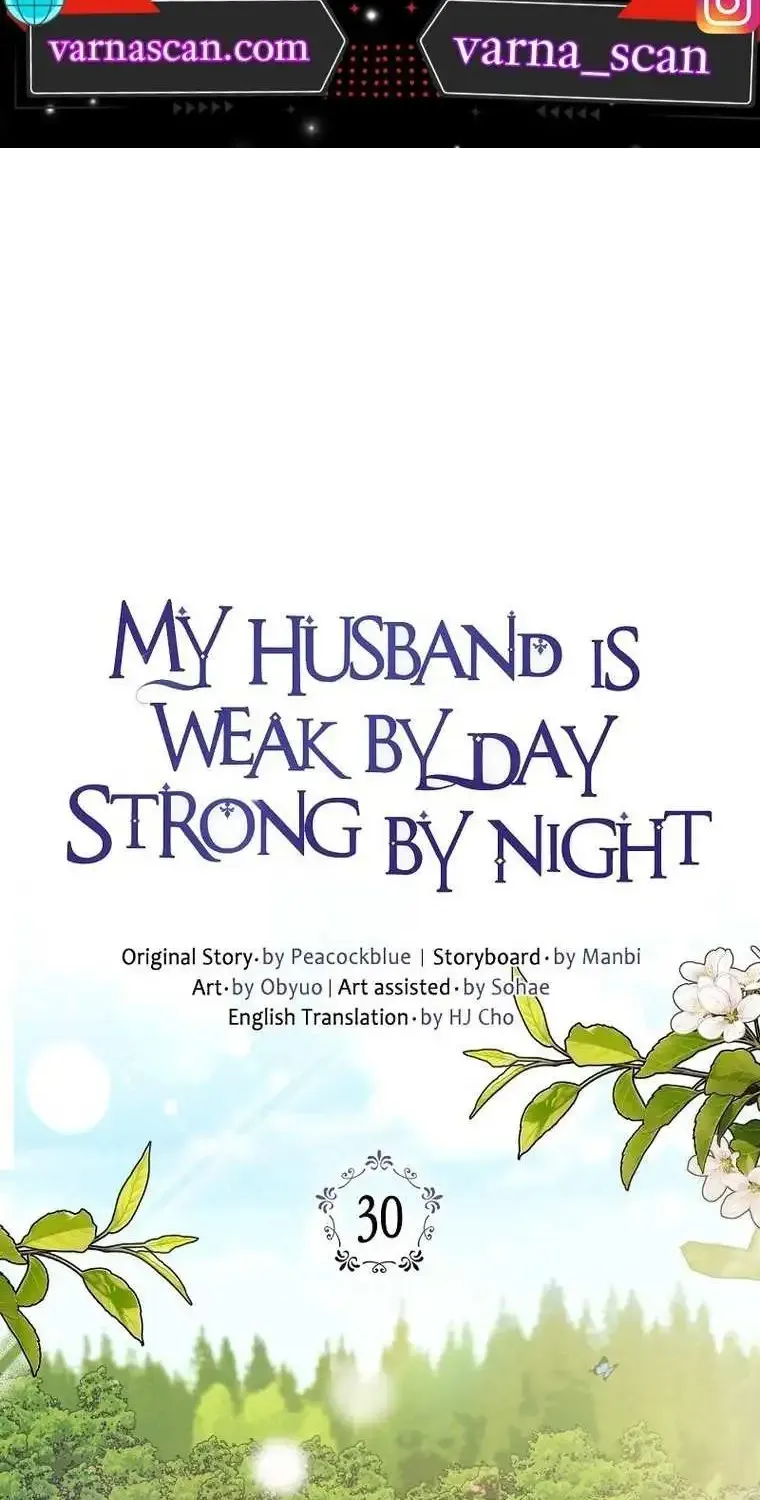 My Husband Is Weak By Day, Strong By Night Zinmanga X Chapter 30 Page 3