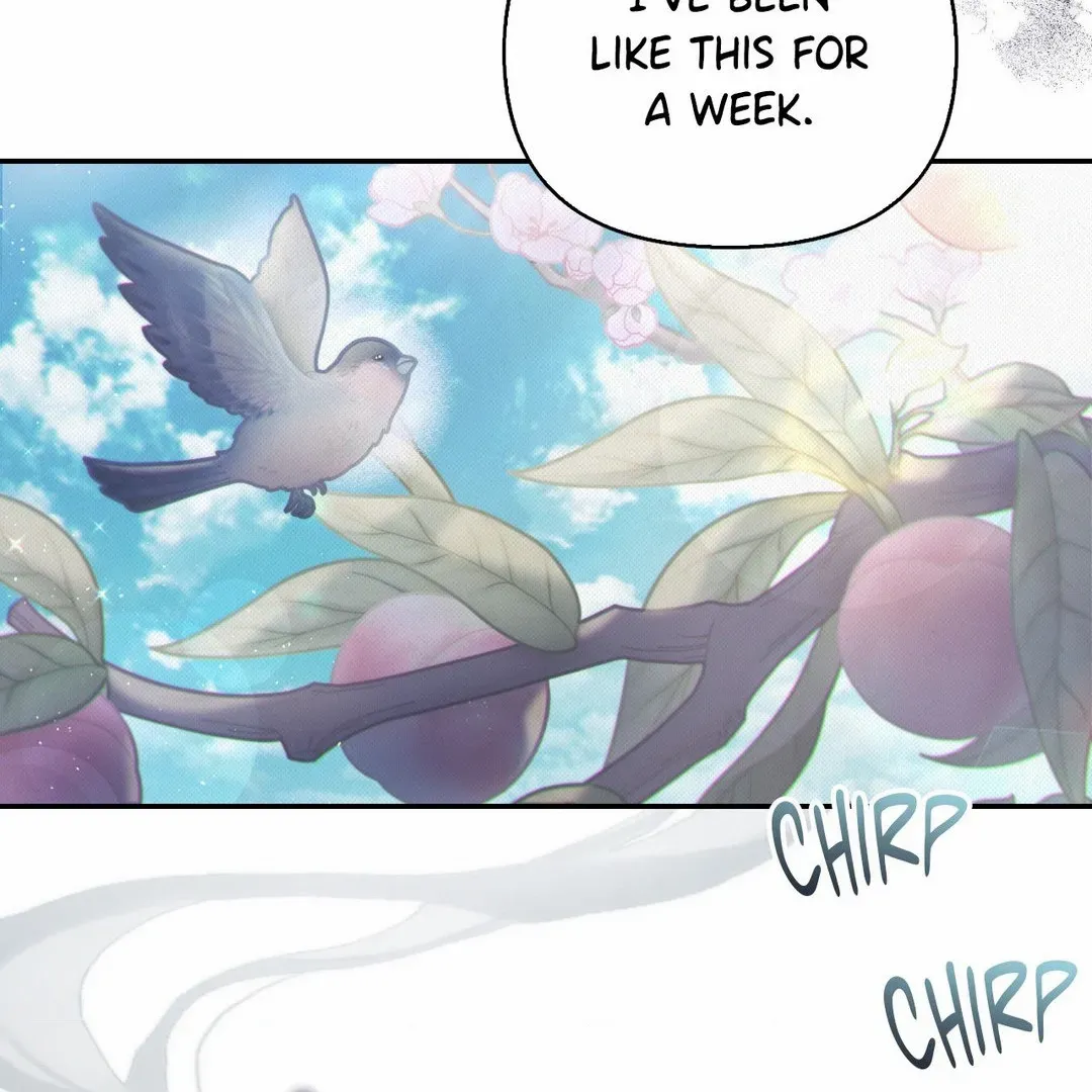 The Queen’s Secret Lessons Zinmanga X Chapter 42 Page 11