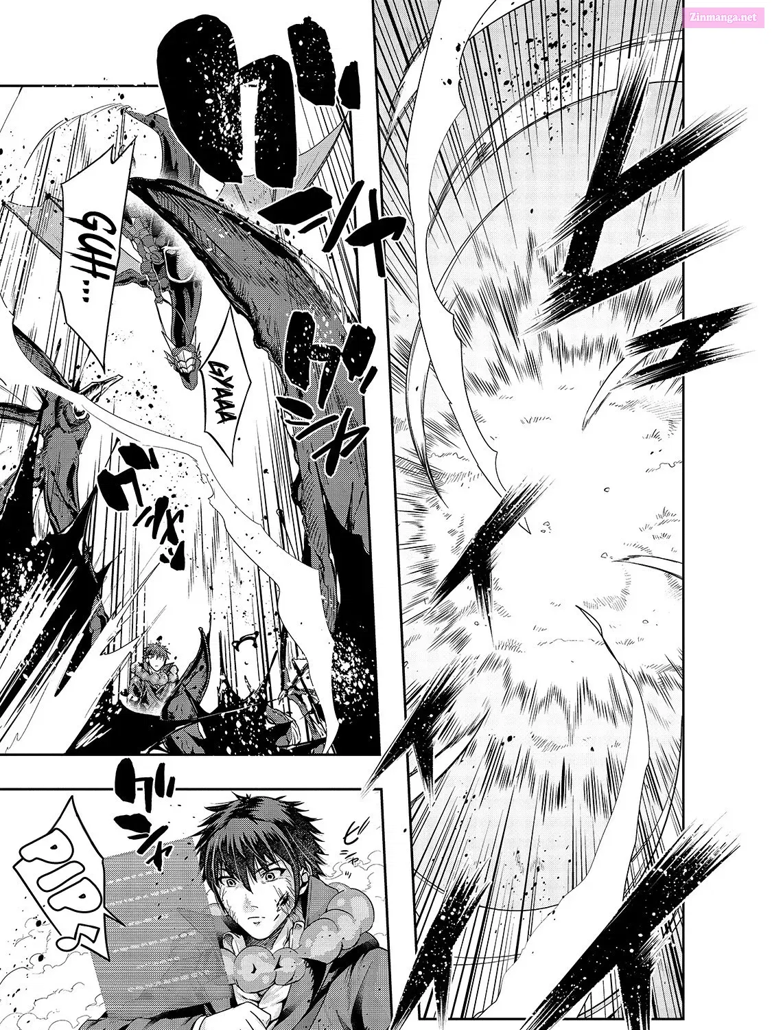 Hazure Waku no "Joutai Ijou Skill" de Saikyou ni Natta Ore ga Subete o Juurin Suru made Zinmanga X Chapter 2.0 Page 2