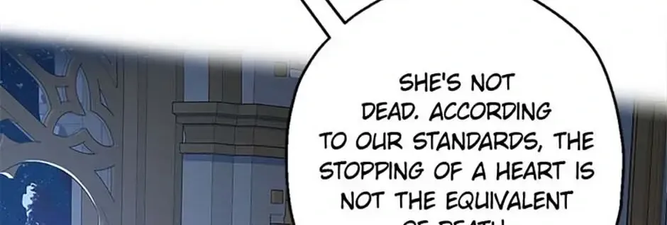 When The Count’s Illegitimate Daughter Gets Married Zinmanga X Chapter 97 Page 29