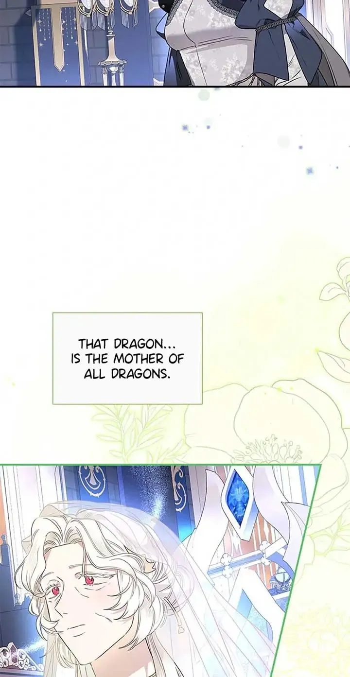 When The Count’s Illegitimate Daughter Gets Married Zinmanga X Chapter 95 Page 53